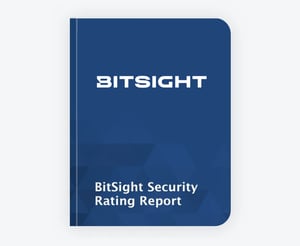 Bitsight Sample New-1