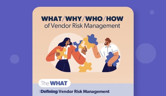what why who how vendor risk management