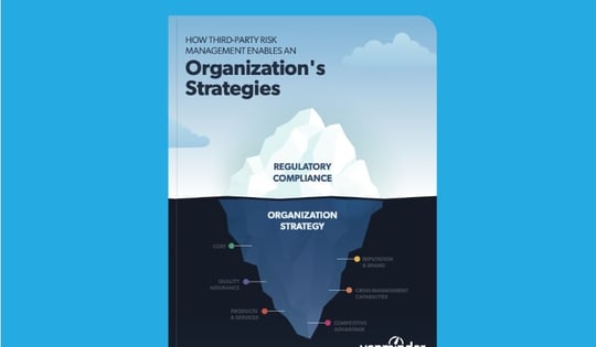 how tprm enables organization strategies
