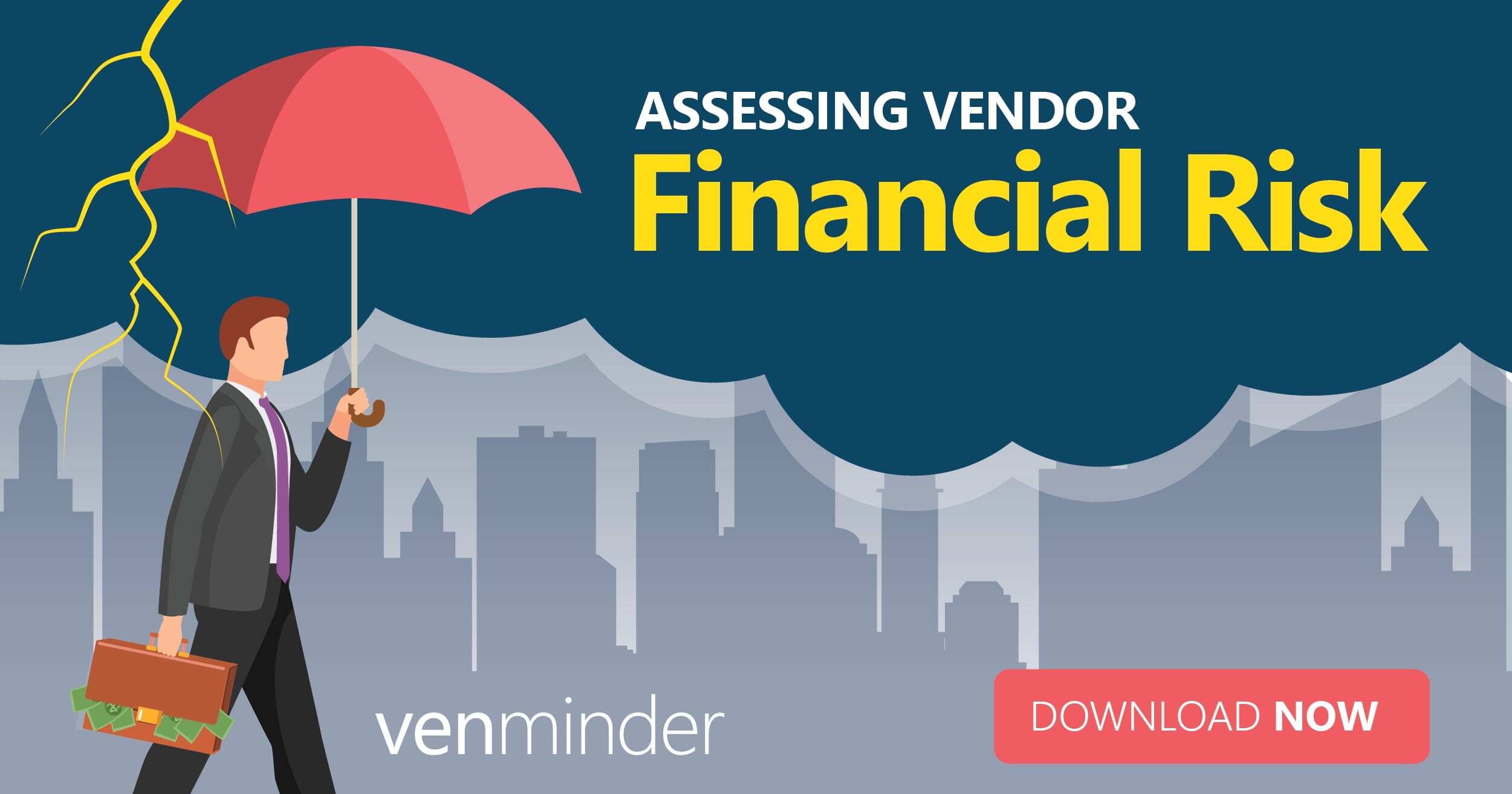 Assessing Vendor Financial Risk - Why It's Just Not About the Numbers
